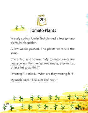 Tomato Plants绘本故事第2页