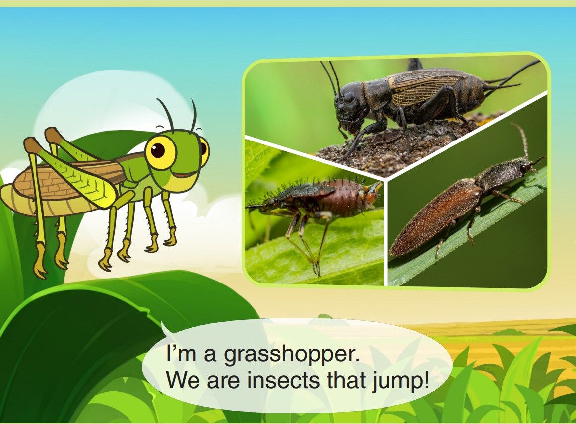 Grasshopper绘本故事第3页