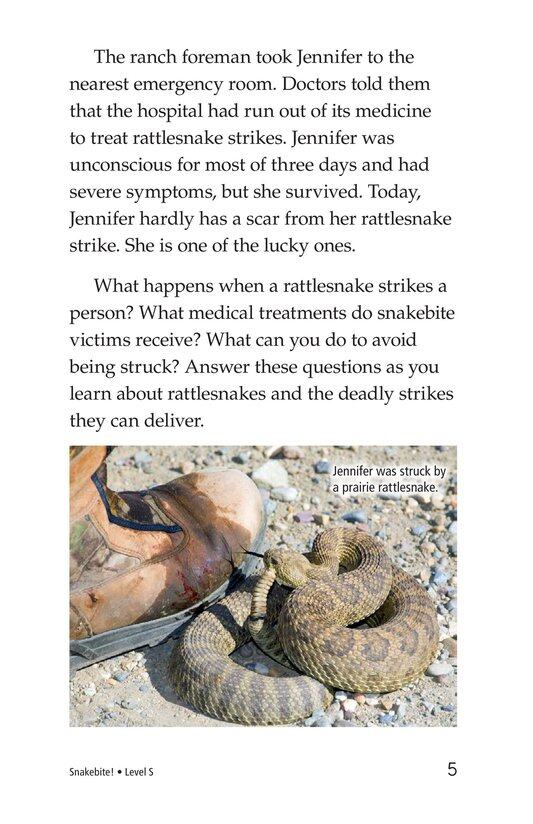 Snakebite!绘本故事第4页