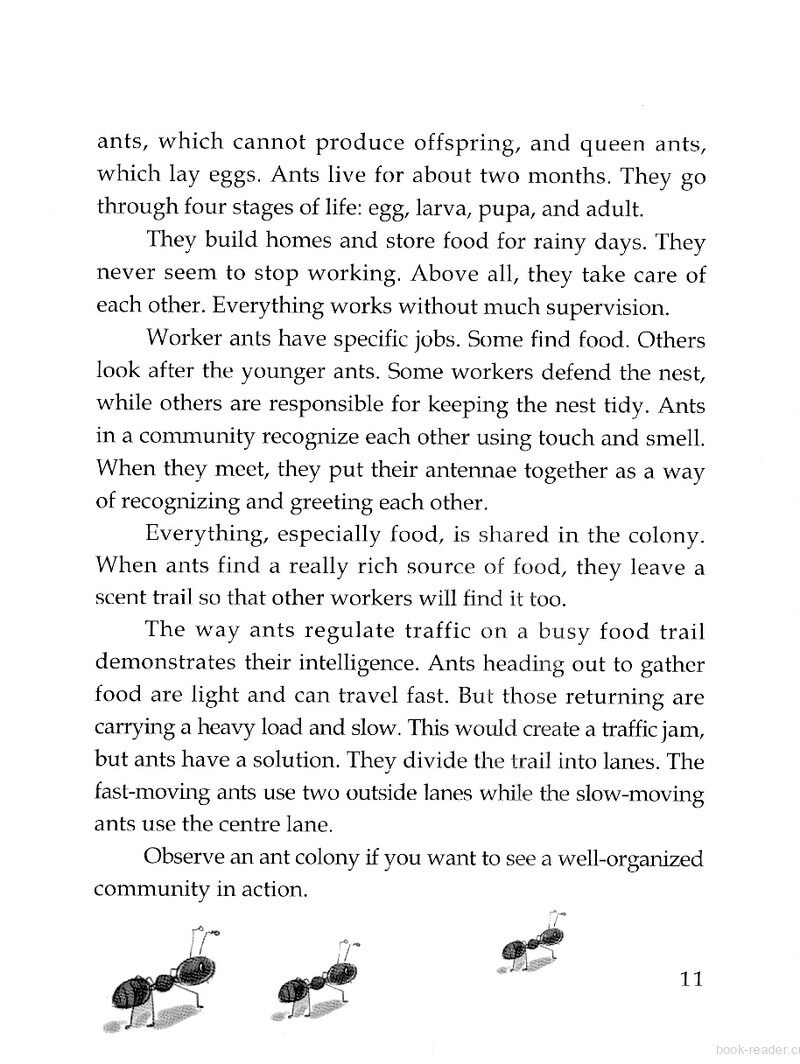 Ants: Social Insects 绘本故事第3页