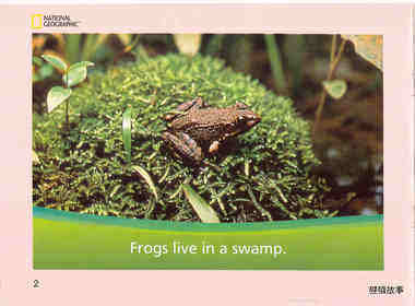 What Lives in a Swamp绘本故事第3页
