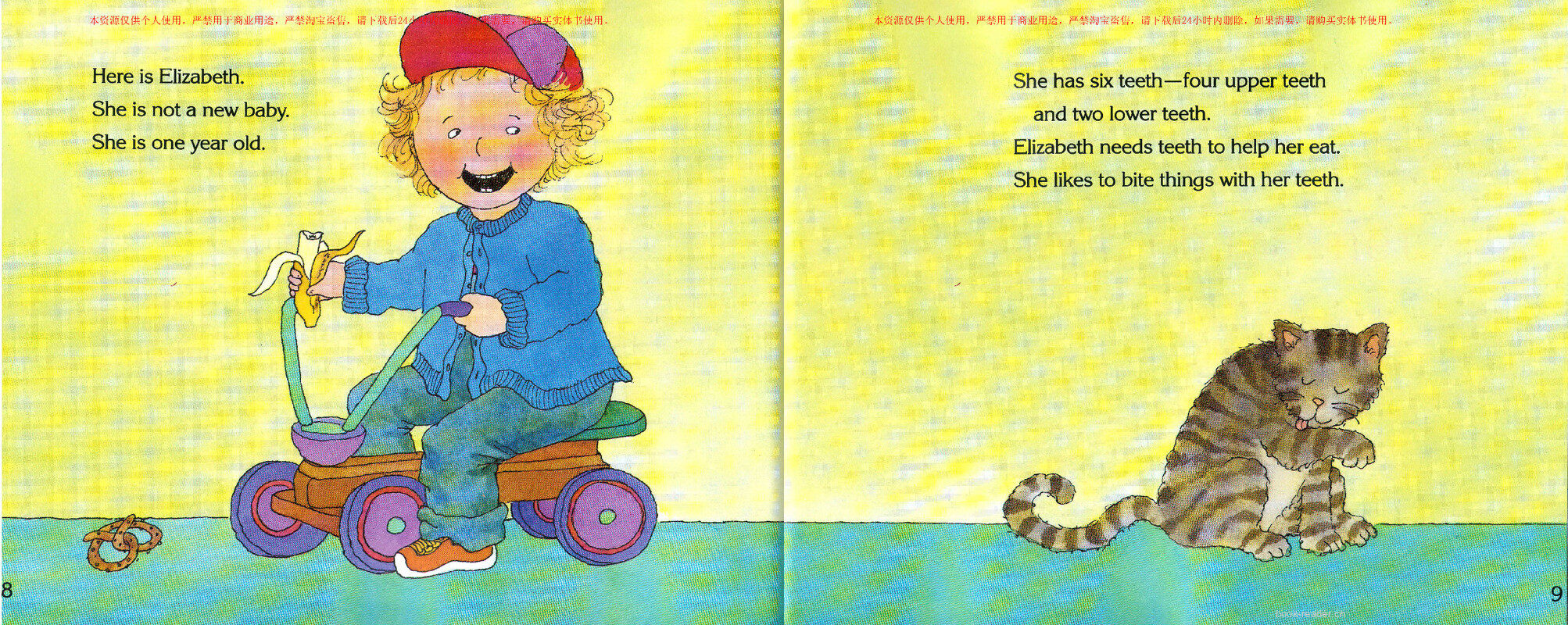 How Many Teeth绘本故事第5页