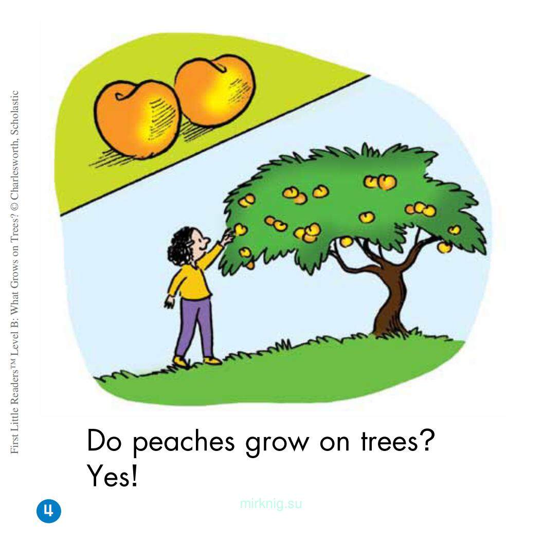 What Grows on Trees?绘本故事第5页