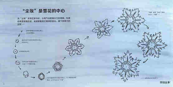 雪花的故事绘本故事第4页