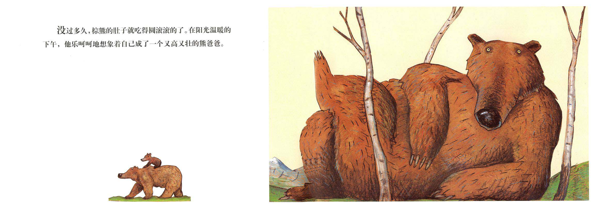 棕熊的神奇事绘本故事第4页