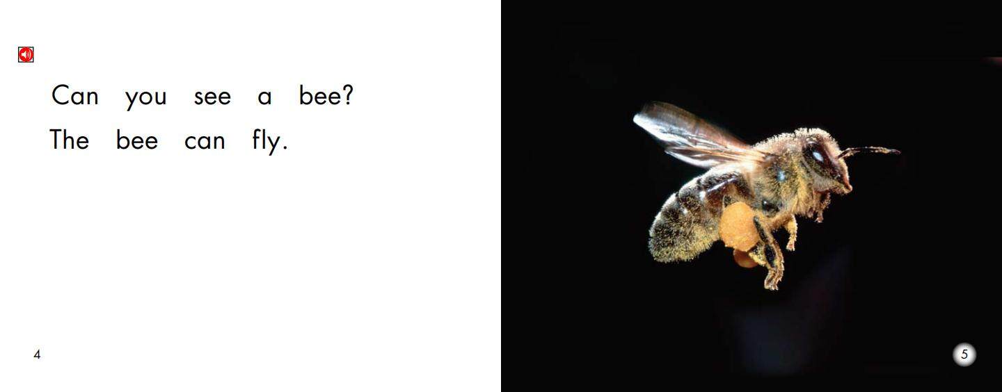 things that fly绘本故事第4页