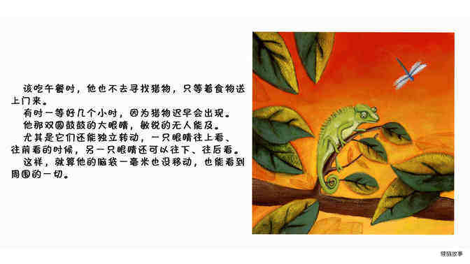变色龙绘本故事第4页