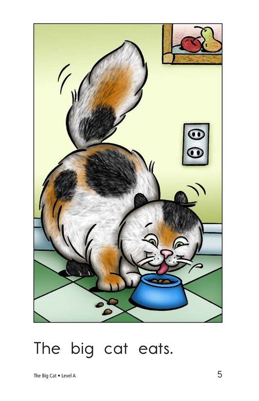 The Big Cat绘本故事第5页