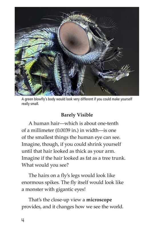 Through a Microscope绘本故事第3页