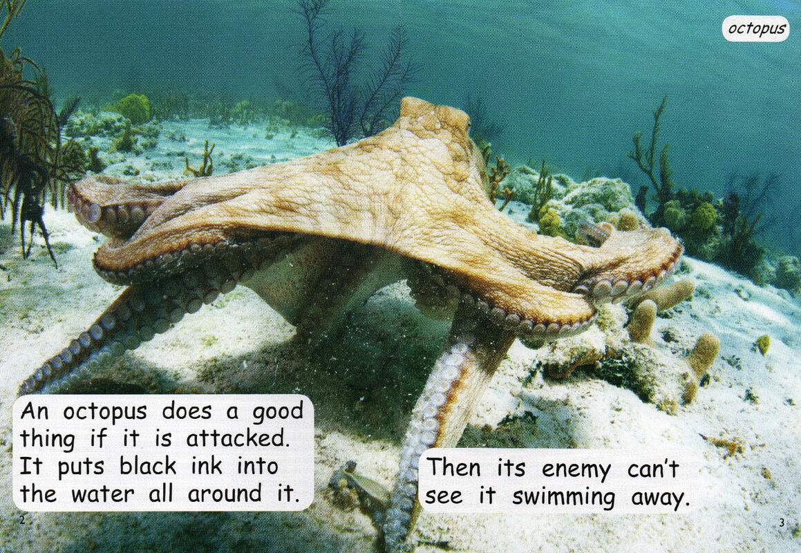 animal defences绘本故事第3页