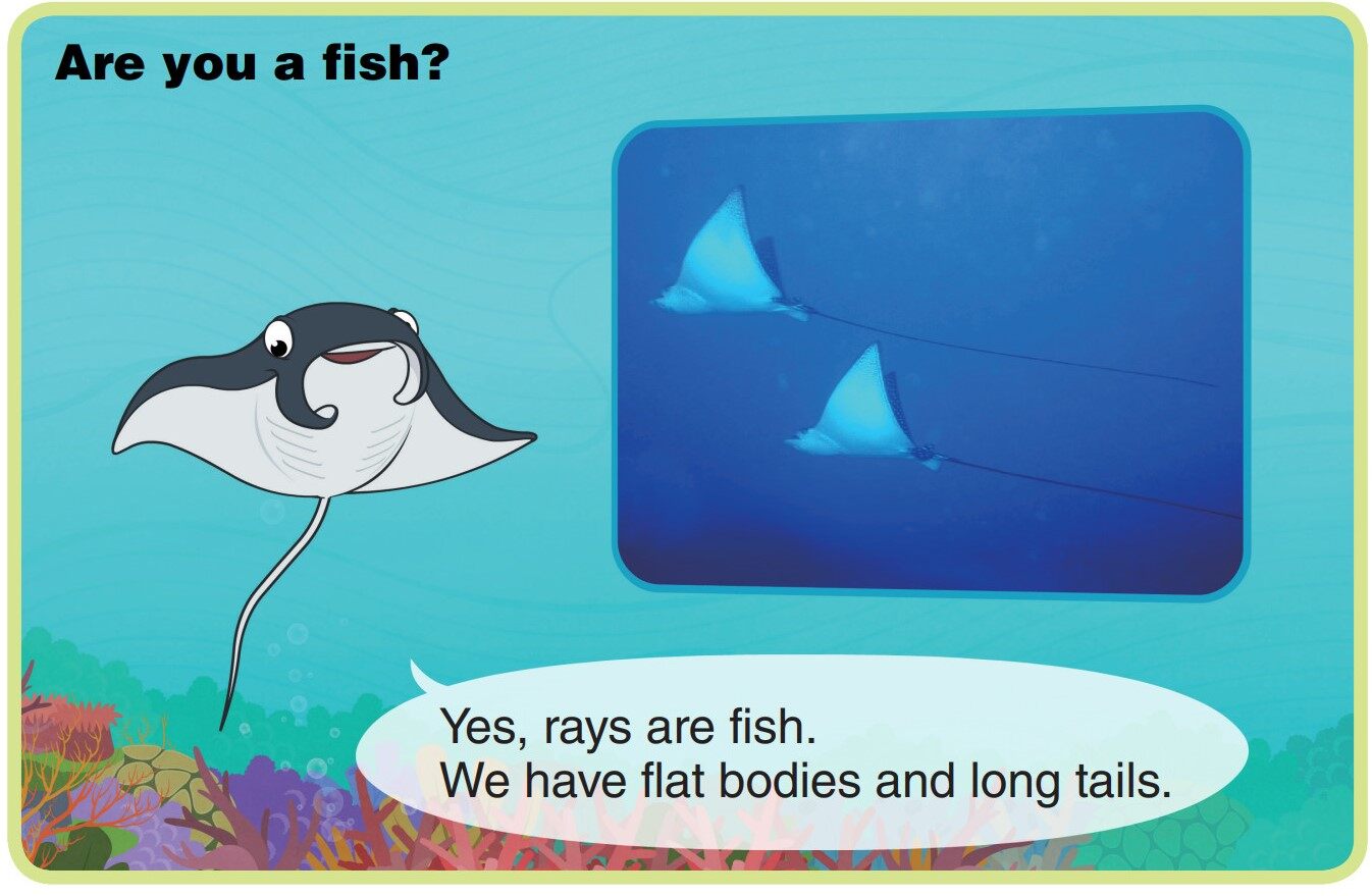 Manta Ray绘本故事第4页