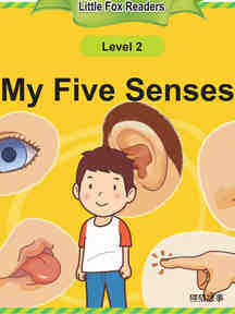 My Five Senses