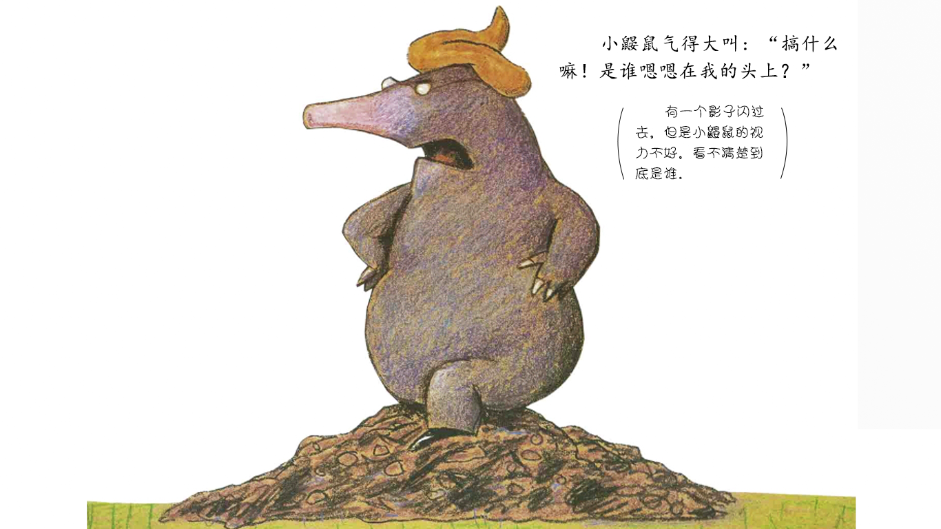 是谁嗯嗯在我的头上绘本故事第4页