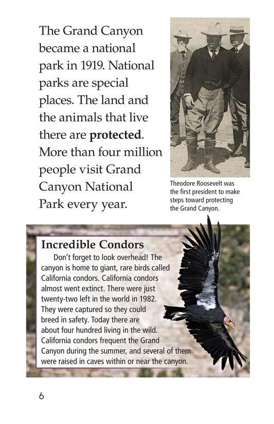 The Grand Canyon绘本故事第5页