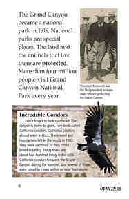 The Grand Canyon绘本故事第5页