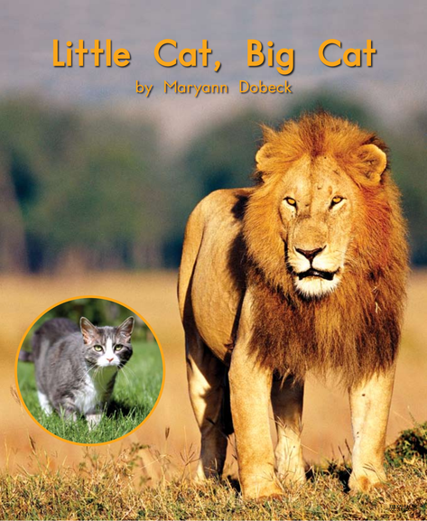 Little Cat,Big Cat绘本故事第2页