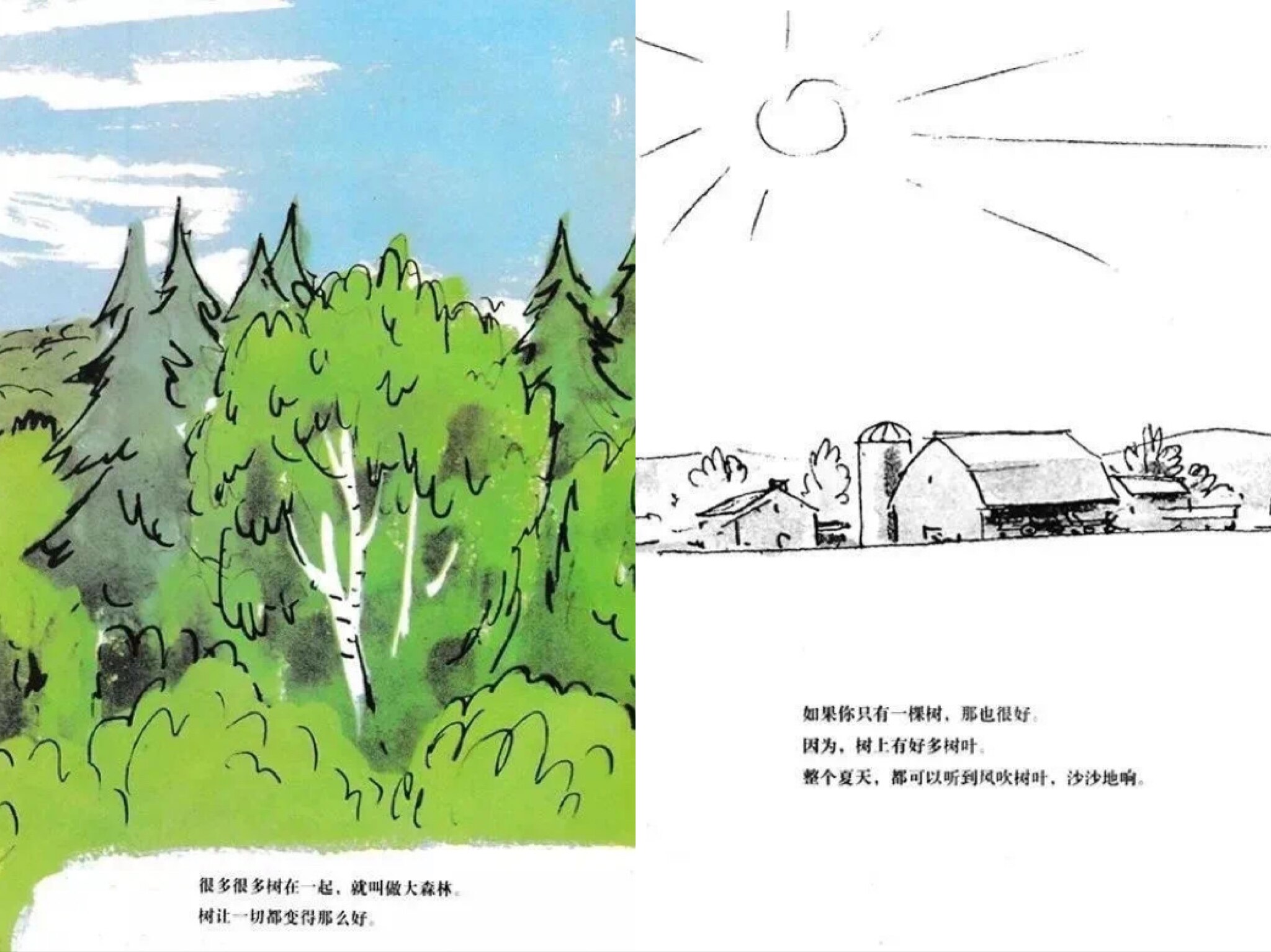 树真好绘本故事第4页