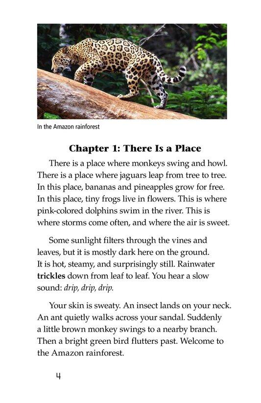 The Amazing Amazon绘本故事第3页