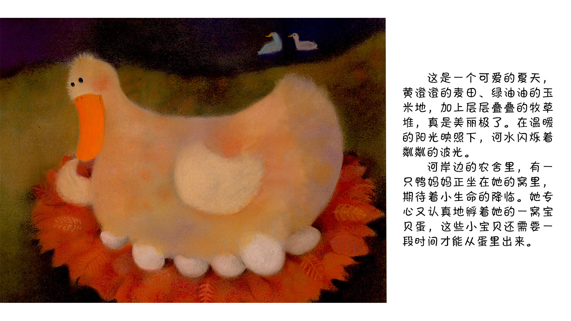 丑小鸭 绘本故事第3页