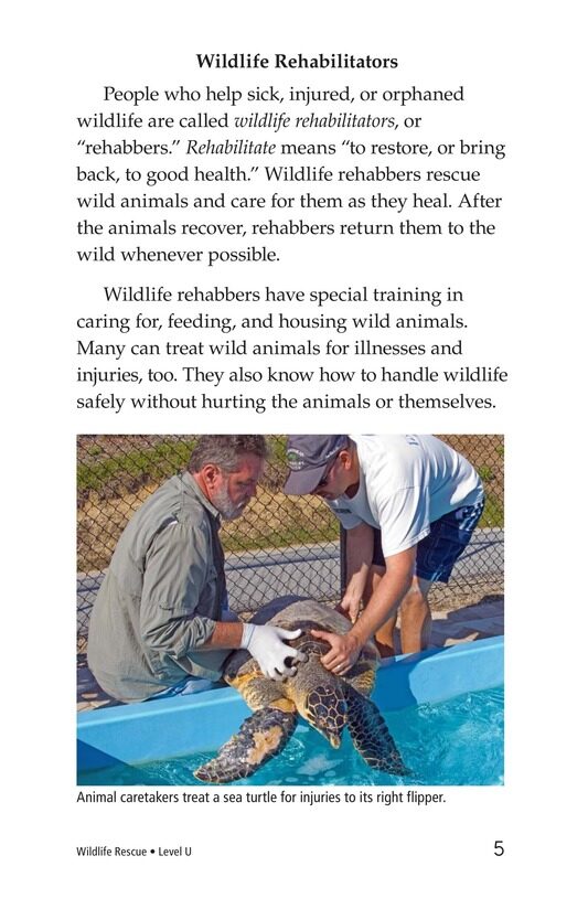 Wildlife Rescue绘本故事第4页