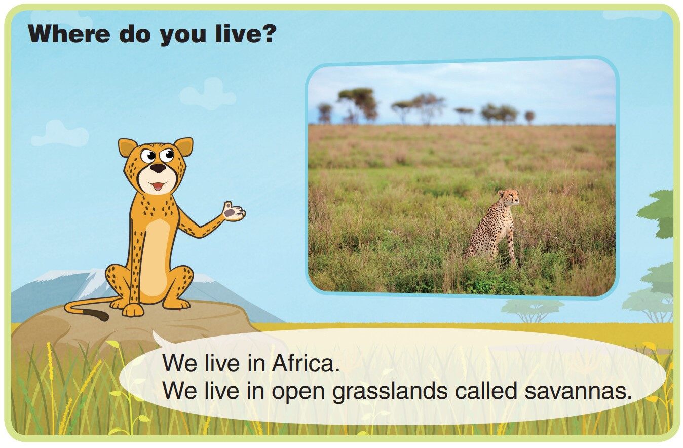 Cheetah绘本故事第4页