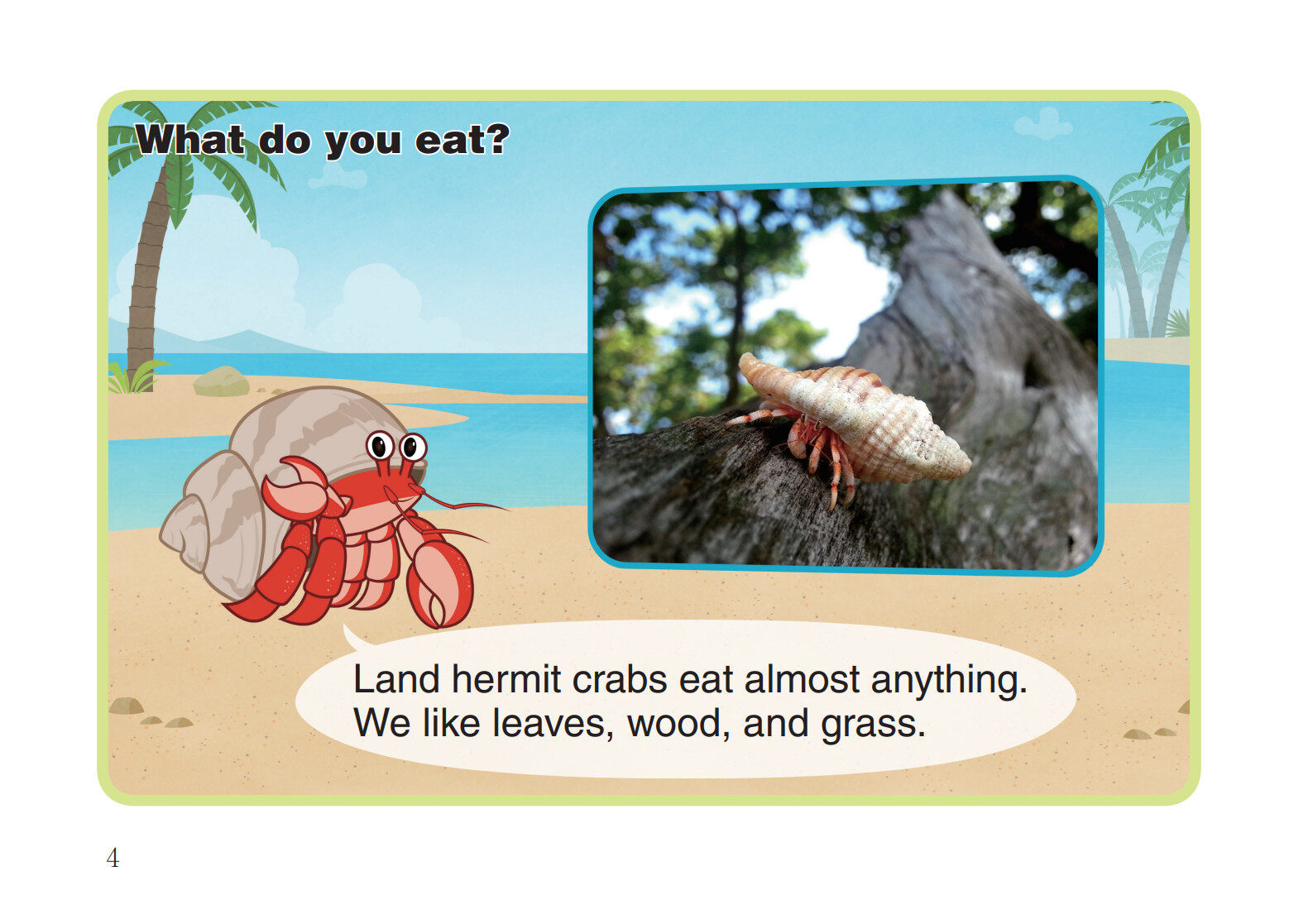 Land Hermit Crab绘本故事第5页
