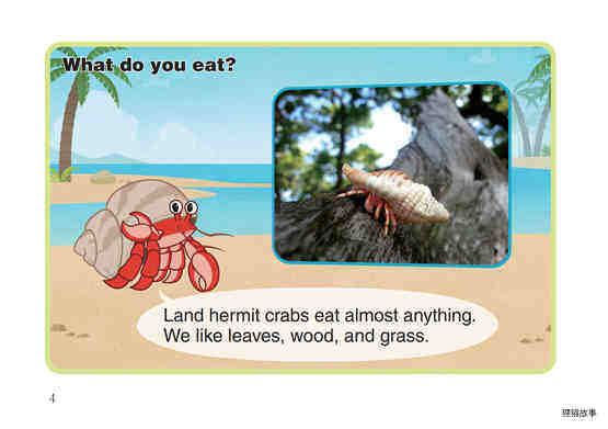 Land Hermit Crab绘本故事第5页
