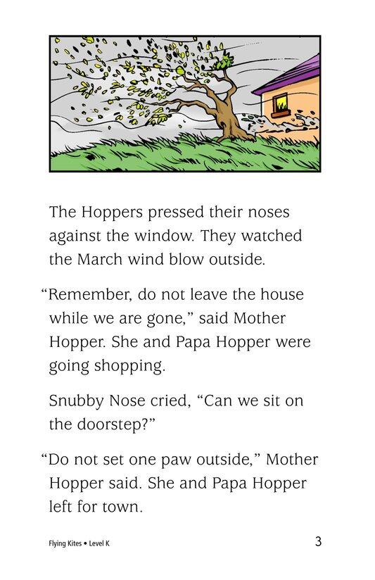 Flying Kites绘本故事第3页