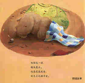 暖房子经典绘本系列·第七辑·贝尔熊:贝尔熊生病了绘本故事第3页