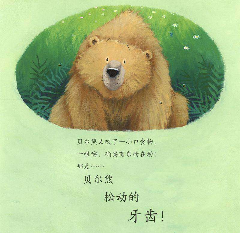 暖房子经典绘本系列·第七辑·贝尔熊:贝尔熊换新牙绘本故事第4页