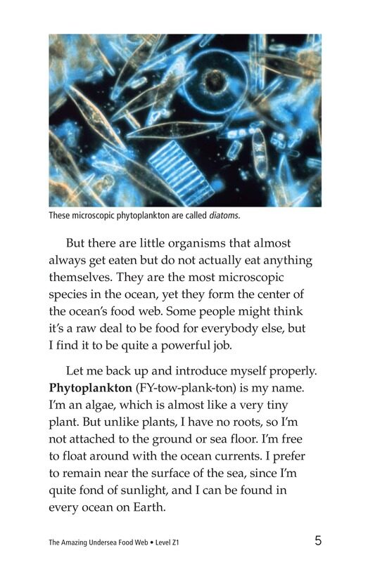 The Amazing Undersea Food Web绘本故事第4页