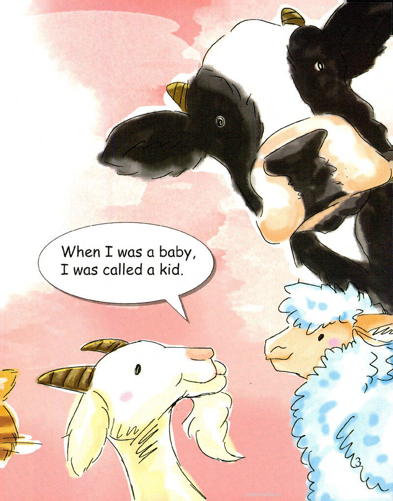 Dog or Puppy?绘本故事第4页