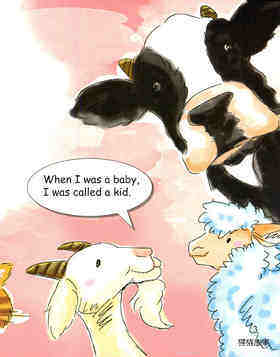 Dog or Puppy?绘本故事第4页