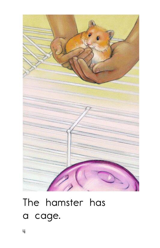 Hamster Home绘本故事第4页