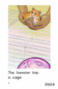 Hamster Home绘本故事第4页