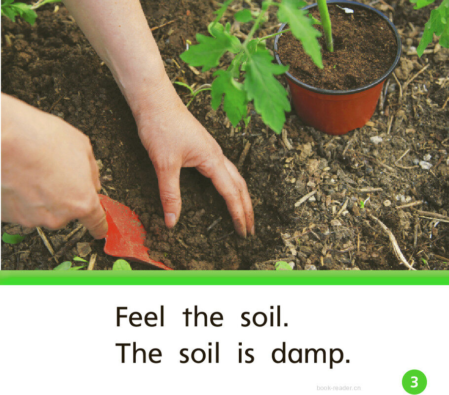 GK Beyond U01W3 See It Grow!绘本故事第4页