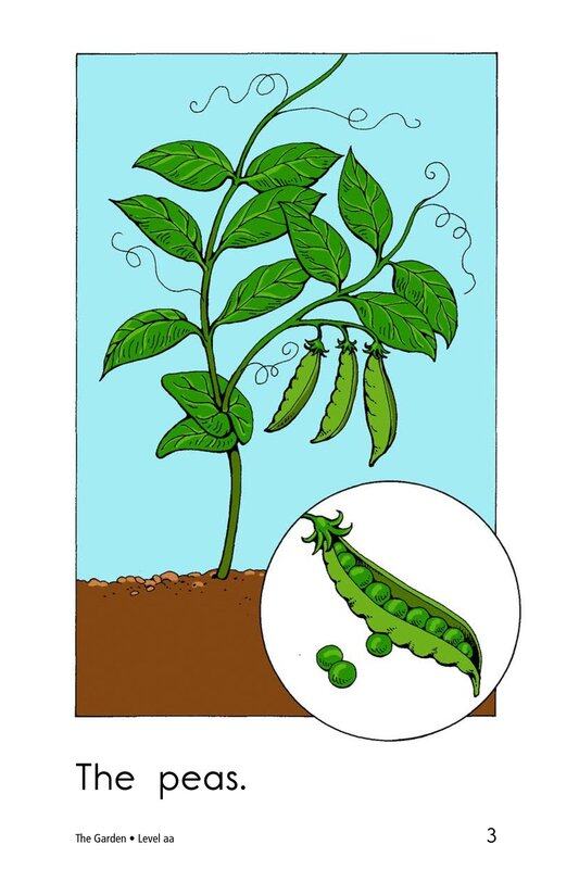 The Garden绘本故事第3页