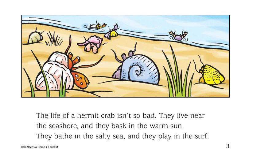 Keb Needs a Home绘本故事第3页