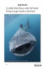 Whale Sharks Giant Fish绘本故事第5页