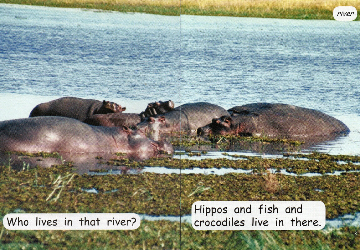 animal homes绘本故事第3页