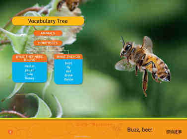 Buzz Bee绘本故事第3页