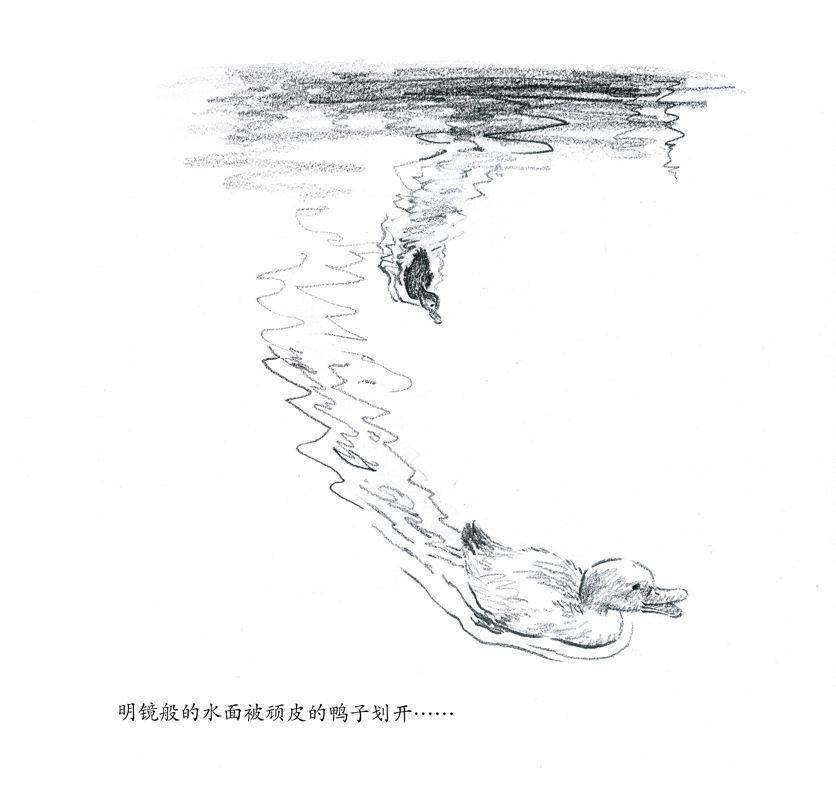 池塘绘本故事第3页