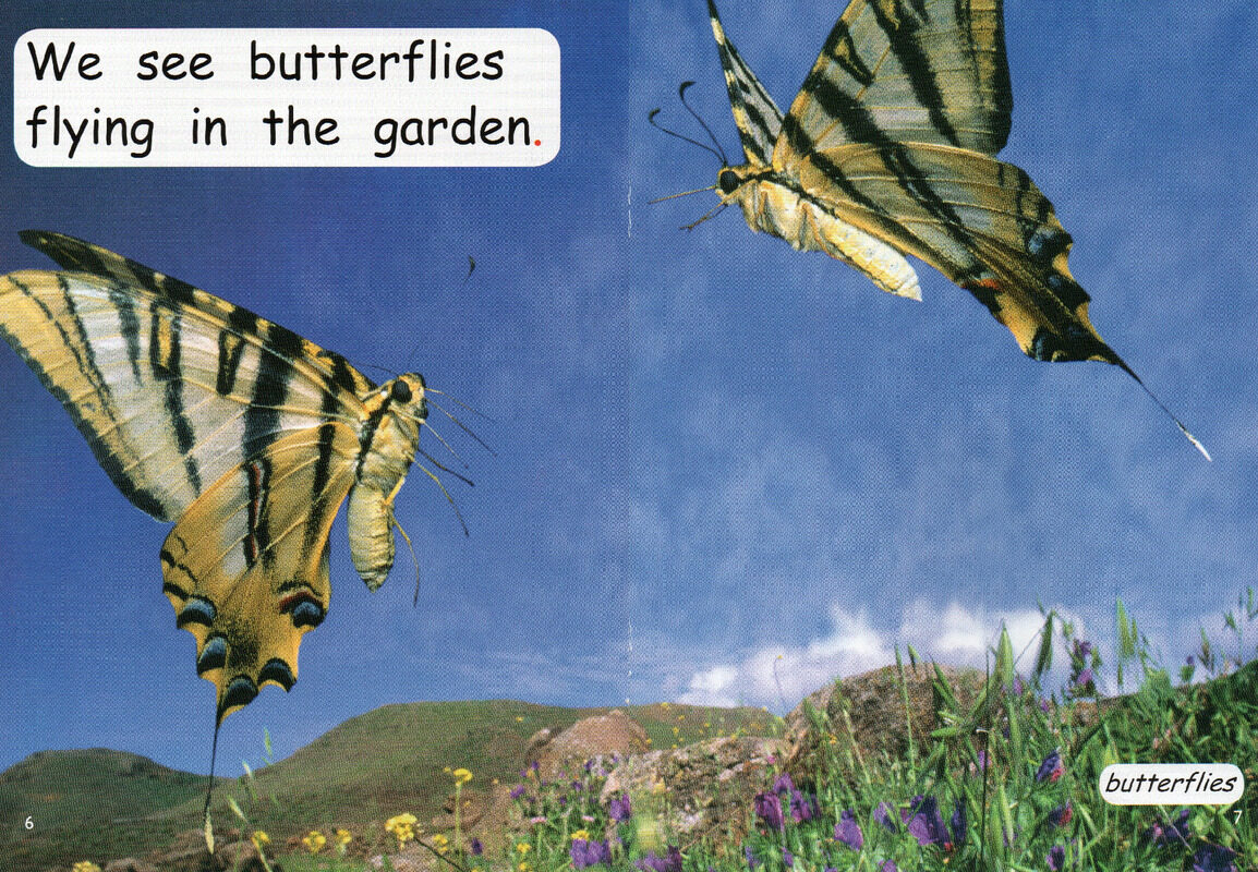 what is in the garden绘本故事第5页