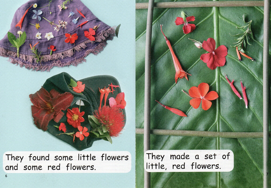 sets in nature绘本故事第5页