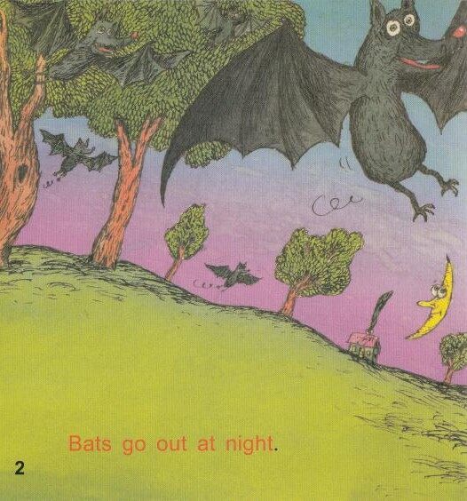 I wish I was a bat绘本故事第3页