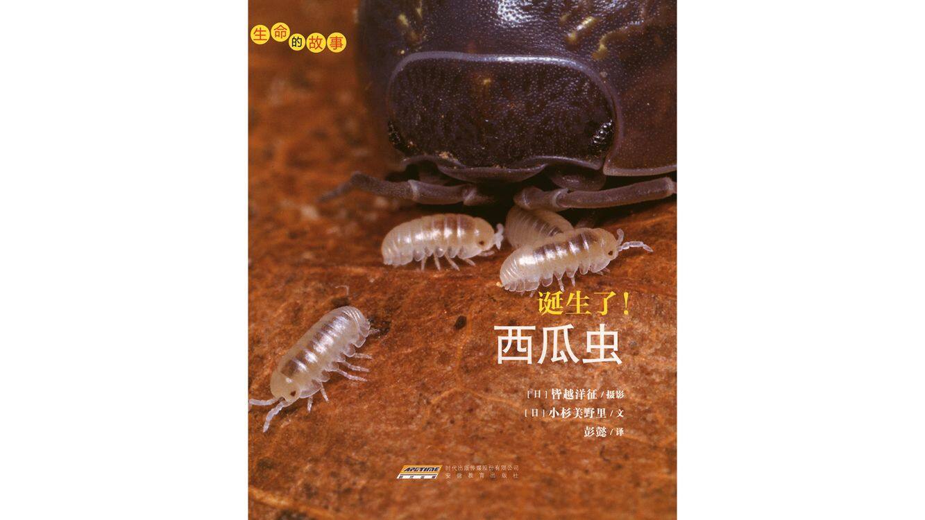 诞生了！西瓜虫绘本故事第2页