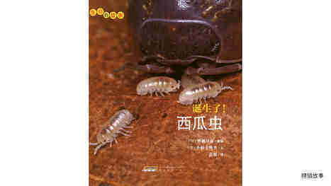 诞生了！西瓜虫绘本故事第2页