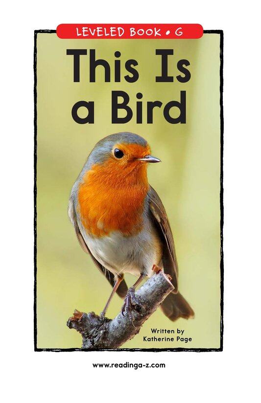 This Is a Bird绘本故事第2页