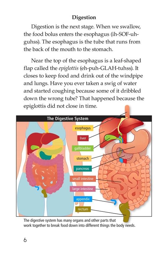 Digestion绘本故事第5页