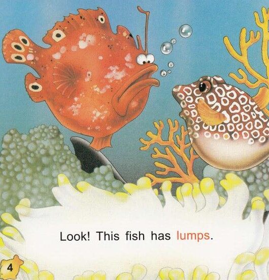 Look out绘本故事第5页